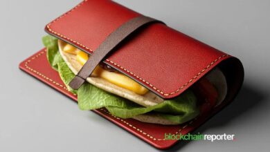 Burrito Wallet Inicia Colaboración con $SUDENG, la Criptomoneda Meme de Tailandia: ¡Descubre Más! - Cripto Boom