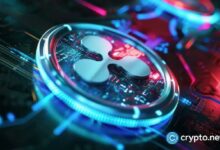 Descubre por qué el XRP de Ripple está listo para una caída bajista - Cripto Boom