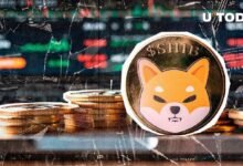 Estrategia de SHIB para Combatir el FUD: ¡Descubre los Detalles! - Cripto Boom