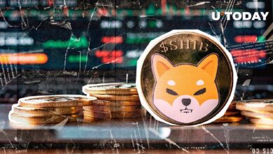 Estrategia de SHIB para Combatir el FUD: ¡Descubre los Detalles! - Cripto Boom