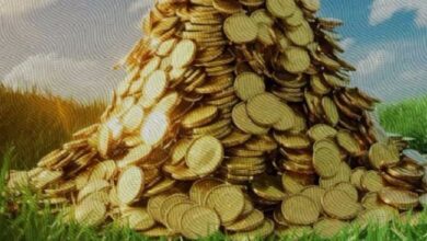 BOME, MEW y TURBO: Descubre Oportunidades Lucrativas para Inversores que Se Perdieron PEPE - Cripto Boom