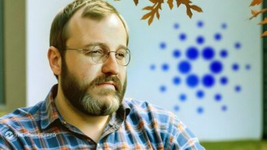 Charles Hoskinson Critica la Demanda de Craig Wright como Abuso del Sistema Legal: ¿Quieres Saber Más? - Cripto Boom