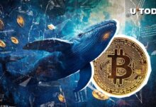 Cartera de Bitcoin de la Era Satoshi Realiza Otro Movimiento Importante ¡Descúbrelo! - Cripto Boom