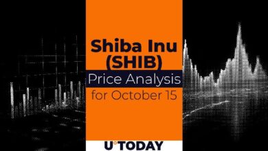 Predicción del Precio de SHIB para el 15 de Octubre: ¡Descubre las Tendencias! - Cripto Boom