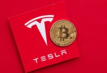¿Qué Pasó con los Millones de Dólares en Bitcoin Transferidos por Tesla? ¿Venta o Otro Propósito? Descubre las Teorías Aquí - Cripto Boom