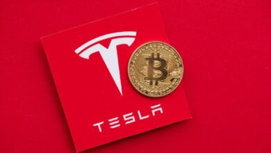 ¿Qué Pasó con los Millones de Dólares en Bitcoin Transferidos por Tesla? ¿Venta o Otro Propósito? Descubre las Teorías Aquí - Cripto Boom