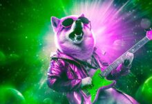 Analista Destacado Predice Subidas para Dogecoin y FLOKI: Descubre por qué DOGE es Inigualable en su Bullish - Cripto Boom