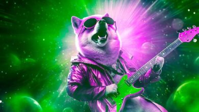 Analista Destacado Predice Subidas para Dogecoin y FLOKI: Descubre por qué DOGE es Inigualable en su Bullish - Cripto Boom