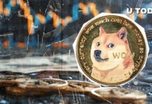 Dogecoin Aumenta Actividad a Máximo de 8 Meses: Descubre la Razón Detrás del Auge - Cripto Boom
