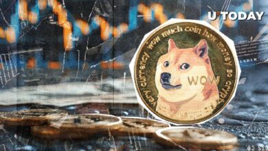 Dogecoin Aumenta Actividad a Máximo de 8 Meses: Descubre la Razón Detrás del Auge - Cripto Boom