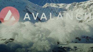 "¡Descubre el Impulso de AVAX al Acercarse a un Nivel de Resistencia Crítico de $32.72!" - Cripto Boom