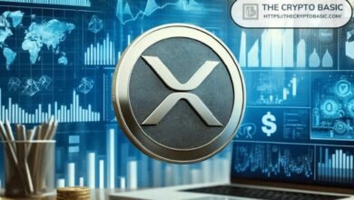 Gran Actividad On-Chain Muestra Enorme Interés Creciente en XRP: Descubre Más - Cripto Boom