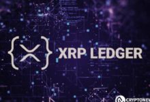 El Ledger Privado de Ripple para CBDC Indica un Cambio Importante en DeFi: Descúbrelo Aquí - Cripto Boom