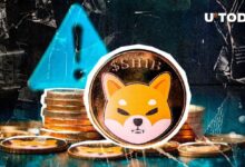FUD sobre Shiba Inu alcanza máximo histórico: Equipo de SHIB responde con declaración clave - Cripto Boom