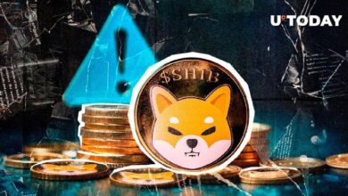 FUD sobre Shiba Inu alcanza máximo histórico: Equipo de SHIB responde con declaración clave - Cripto Boom