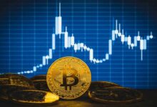 Interés abierto en futuros de Bitcoin alcanza máximo histórico; Descubre su significado ahora - Cripto Boom
