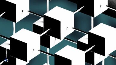 Acelerador de Alianzas: DAO y NFT quedan atrás, DeFi toma el protagonismo para startups cripto en 2024 ¡Descubre más! - Cripto Boom