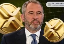 El CEO de Ripple afirma que XRP será uno de los ganadores en el mundo cripto: ¡Descubre por qué! - Cripto Boom