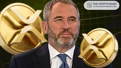 El CEO de Ripple afirma que XRP será uno de los ganadores en el mundo cripto: ¡Descubre por qué! - Cripto Boom