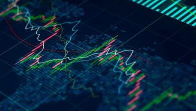 ¿Quieres Operar en Europa? Descubre las 5 Principales Cripto-Exchanges que Liderarán el Mercado en 2024 - Cripto Boom
