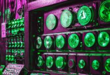 Subida de Altcoins en el Horizonte: Aprovecha el Potencial del Mercado, Según Analista Destacado - Cripto Boom