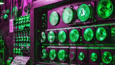 Subida de Altcoins en el Horizonte: Aprovecha el Potencial del Mercado, Según Analista Destacado - Cripto Boom