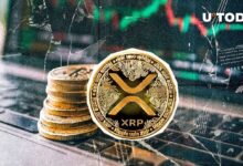 ¡Descubre el Enorme Aumento de Carteras Activas en XRP Ledger! - Cripto Boom