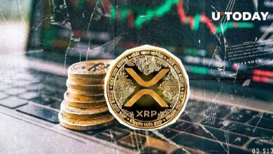 ¡Descubre el Enorme Aumento de Carteras Activas en XRP Ledger! - Cripto Boom