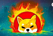 Precio de Shiba Inu: ¡Descubre cómo 142 billones de tokens sin quemar ponen en riesgo el soporte! - Cripto Boom
