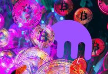 Encuesta de Kraken Revela que la Mayoría de los Inversores en Criptomonedas Siguen una Estrategia: ¡Descubre Cuál! - Cripto Boom