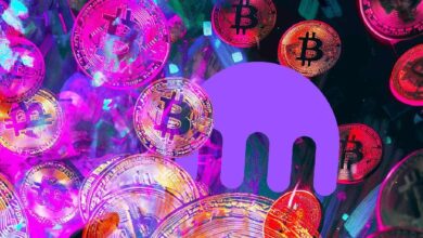 Encuesta de Kraken Revela que la Mayoría de los Inversores en Criptomonedas Siguen una Estrategia: ¡Descubre Cuál! - Cripto Boom
