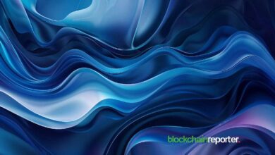 Sui Network Anuncia Redención de DBClaimNFT y Lanzamiento del Token DEEP: Descubre Más - Cripto Boom