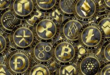 ¿Qué Criptomoneda Podría experimentar un Crecimiento Excepcional en 2024? ¡Descúbrelo! - Cripto Boom