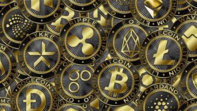 ¿Qué Criptomoneda Podría experimentar un Crecimiento Excepcional en 2024? ¡Descúbrelo! - Cripto Boom