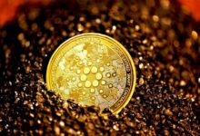 Propuesta de Descentralización de la Infraestructura de Cardano: ¿Cómo Impactará en los Precios de ADA? Descúbrelo Aquí - Cripto Boom