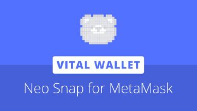 ¡Descubre Vital Wallet: Integra Neo N3 en Ethereum con MetaMask Snaps! - Cripto Boom