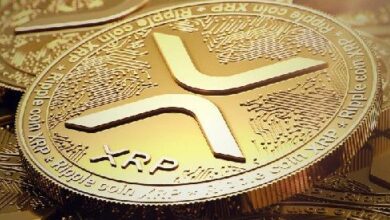 XRP se dispara desde $0.48: ¿Rumbo a un breakout de $0.53? ¡Descúbrelo! - Cripto Boom