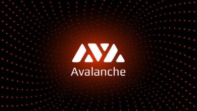 Avalanche (AVAX) lanza tarjeta de crédito: ¡Gasta cripto donde se acepte Visa! - Cripto Boom