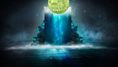 Trader Afirma que Altcoin de Gran Capitalización en IA se Ve ‘Extremadamente Bien’: Explora el Futuro de Solana, FLOKI, Bonk y Pepe ¡Descúbrelo Ahora! - Cripto Boom