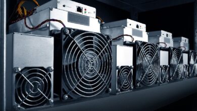 Octubre Impulsa los Ingresos de los Mineros de Bitcoin—¿Cómo Cambiará el Mercado con las Elecciones? ¡Descúbrelo! - Cripto Boom