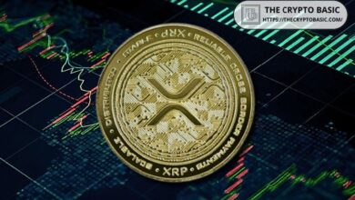 ¡Explora el Potencial de XRP! Podría Alcanzar $4 a $6 tras Caer Solo a $0.51 Después del Recurso de la SEC, en Contraste con el Colapso del 70% en 2020 - Cripto Boom