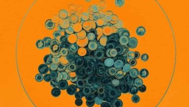 Rechazo de BNB en Nivel Clave Indica Posible Corrección de Precio: ¡Descubre Más! - Cripto Boom
