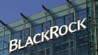Securitize Lanza Conversiones de USDC para el Fondo de Liquidez Digital de BlackRock: Descubre Más - Cripto Boom