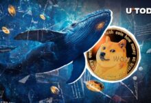 Ballenas de Dogecoin Compran un 899% Más DOGE con el Aumento del Precio de Moneda Meme: ¡Descubre por Qué! - Cripto Boom