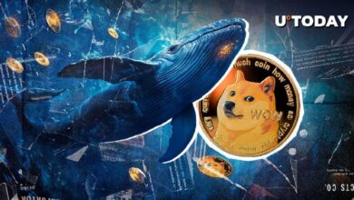 Ballenas de Dogecoin Compran un 899% Más DOGE con el Aumento del Precio de Moneda Meme: ¡Descubre por Qué! - Cripto Boom