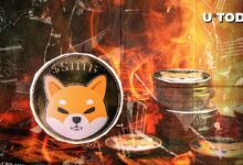 ¡Quema de SHIB se Dispara en Todos los Marcos Temporales! Descubre Qué Está Sucediendo - Cripto Boom