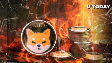 ¡Quema de SHIB se Dispara en Todos los Marcos Temporales! Descubre Qué Está Sucediendo - Cripto Boom