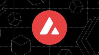Avalanche se Recupera: ¿Ruptura de $29.35 y Nuevas Ganancias en el Horizonte? - Cripto Boom