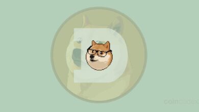 ¿Quién es Shibetoshi Nakamoto? Descúbrelo aquí. - Cripto Boom