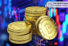 Inversor Veterano Desvela Estrategia de Bitcoin de 500 Días para Ganancias Óptimas: ¡Descúbrela Ahora! - Cripto Boom
